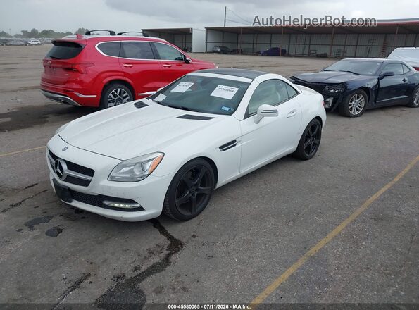 WDDPK3JAXGF120273 2016 MERCEDES-BENZ SLK 300 White Vista tres cuartos delantera izquierda