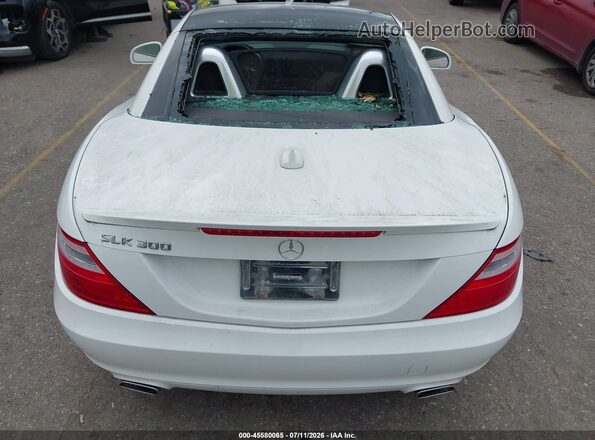 WDDPK3JAXGF120273 2016 MERCEDES-BENZ SLK 300 White Vista frontal