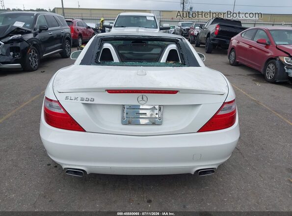 WDDPK3JAXGF120273 2016 MERCEDES-BENZ SLK 300 White 
