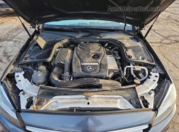 WDDWF4KB0GR164763 2016 MERCEDES-BENZ C Gray Vista interior trasera