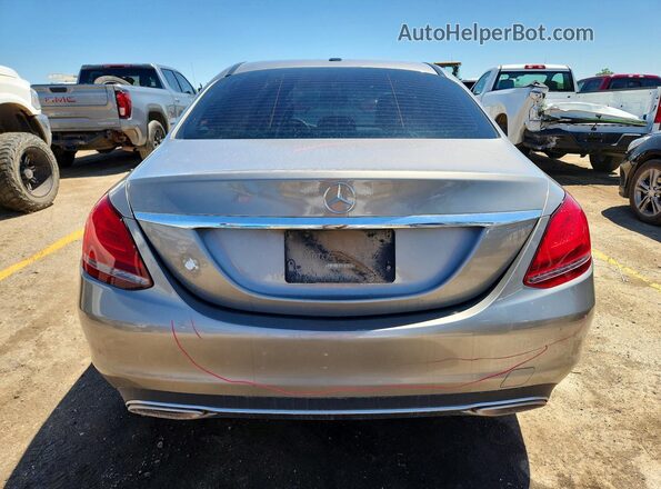 WDDWF8DB0LR526704 2020 MERCEDES-BENZ C Серебряный Вид сзади