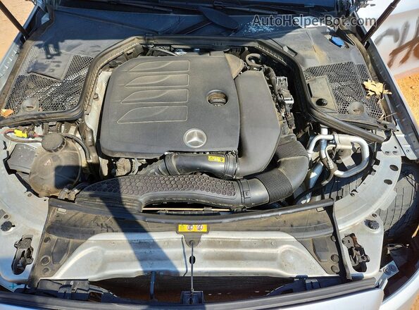 WDDWF8DB4LR549239 2020 MERCEDES-BENZ C Silver Вид задньої частини салону