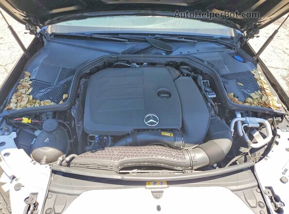 WDDWF8DB6LR525721 2020 MERCEDES-BENZ C Черный Вид задней части салона