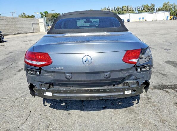WDDWK4JB9HF428191 2017 MERCEDES-BENZ C Gray Vista trasera