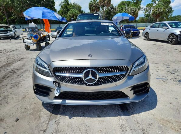 WDDWK8DB9LF943963 2020 MERCEDES-BENZ C Silver წინა ხედი