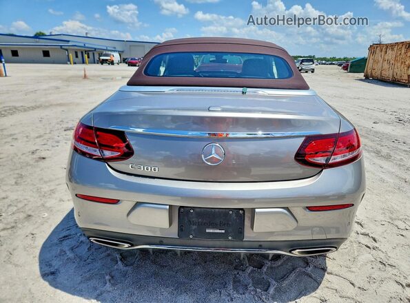 WDDWK8DB9LF943963 2020 MERCEDES-BENZ C Silver უკანა ხედი