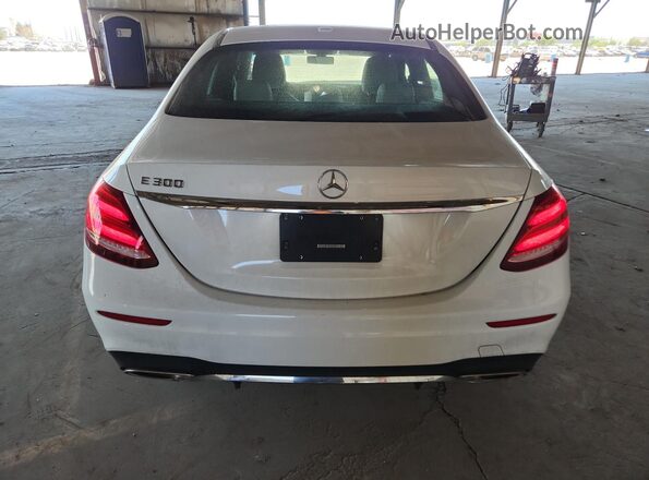 WDDZF4JB6KA658678 2019 MERCEDES-BENZ E White Вид ззаду