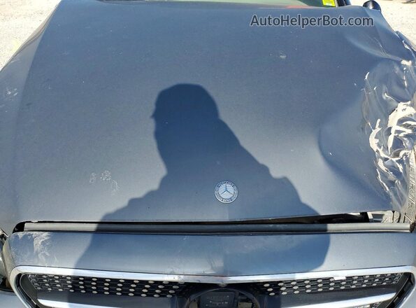 WDDZF6EB8HA214460 2017 MERCEDES-BENZ E Gray Vista interior trasera