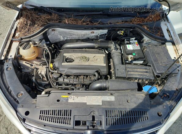 WVGAV7AX0GW541420 2016 VOLKSWAGEN TIGUAN White Vista del compartimento del motor