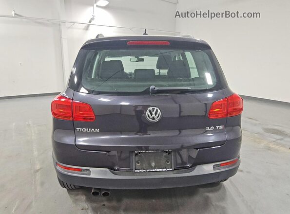 WVGAV7AX0GW546343 2016 VOLKSWAGEN TIGUAN Gray Вид ззаду