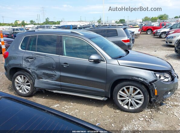 WVGAV7AX1GW557397 2016 VOLKSWAGEN TIGUAN Серый Вид задней части салона