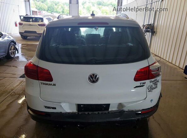 WVGAV7AX2HK030803 2017 VOLKSWAGEN TIGUAN White Вид ззаду