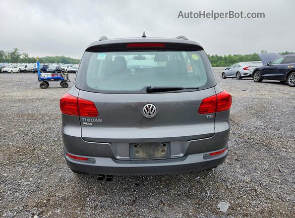 WVGAV7AX3GW031286 2016 VOLKSWAGEN TIGUAN Gray უკანა ხედი