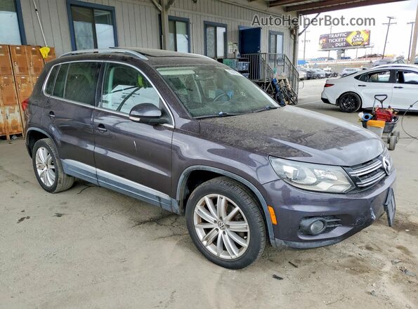 WVGAV7AX3GW588344 2016 VOLKSWAGEN TIGUAN Charcoal Delantero derecho