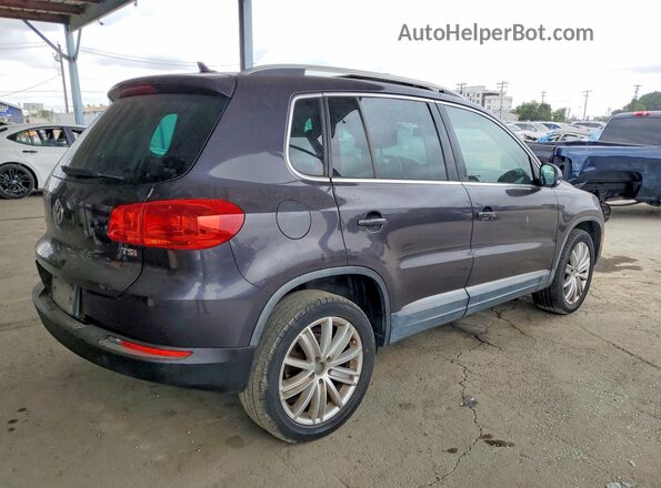 WVGAV7AX3GW588344 2016 VOLKSWAGEN TIGUAN Charcoal Trasero derecho