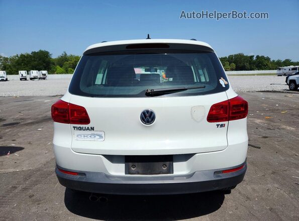 WVGAV7AX4HW513010 2017 VOLKSWAGEN TIGUAN White Widok z tyłu