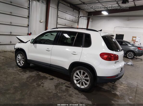 WVGAV7AX5HK050091 2017 VOLKSWAGEN TIGUAN White უკანა მარცხენა