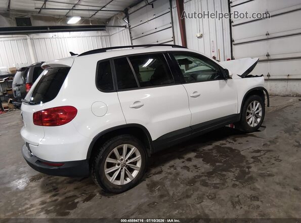 WVGAV7AX5HK050091 2017 VOLKSWAGEN TIGUAN White უკანა მარჯვენა