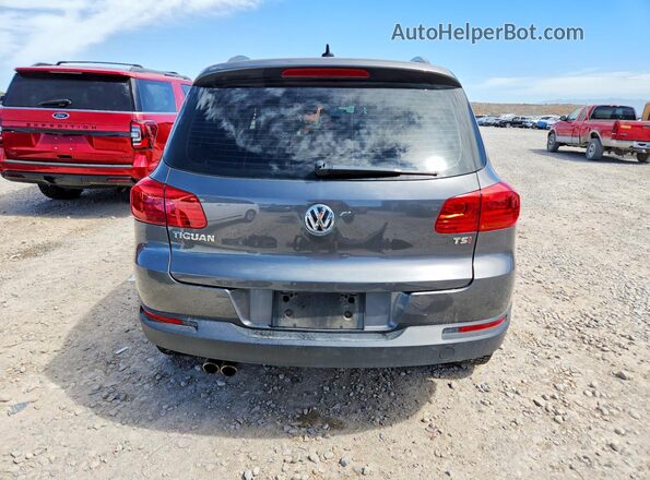 WVGAV7AX6HK030240 2017 VOLKSWAGEN TIGUAN Gray Widok z tyłu