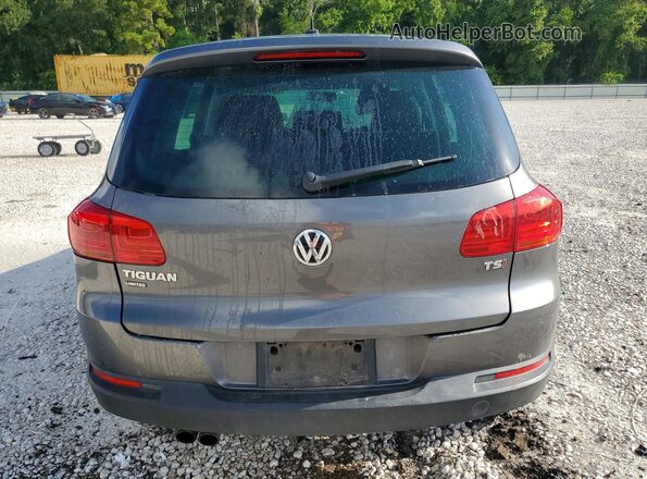 WVGAV7AX6HK047247 2017 VOLKSWAGEN TIGUAN Gray Widok z tyłu