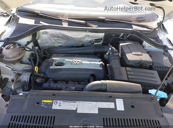 WVGAV7AX8GW039268 2016 VOLKSWAGEN TIGUAN White Вид ззаду