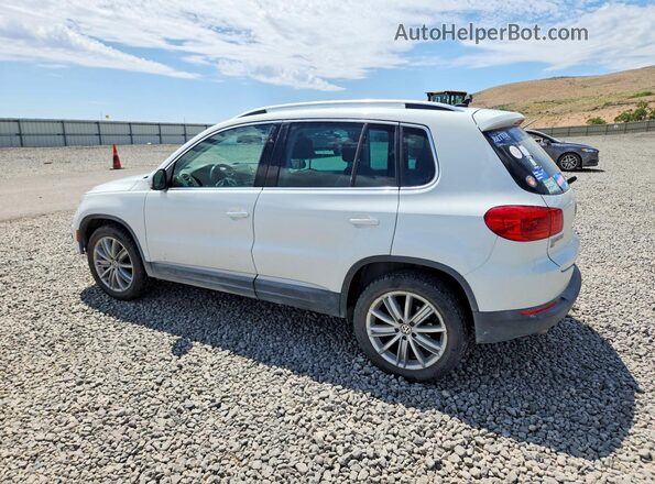 WVGAV7AX8GW591644 2016 VOLKSWAGEN TIGUAN White Задня ліва чверть