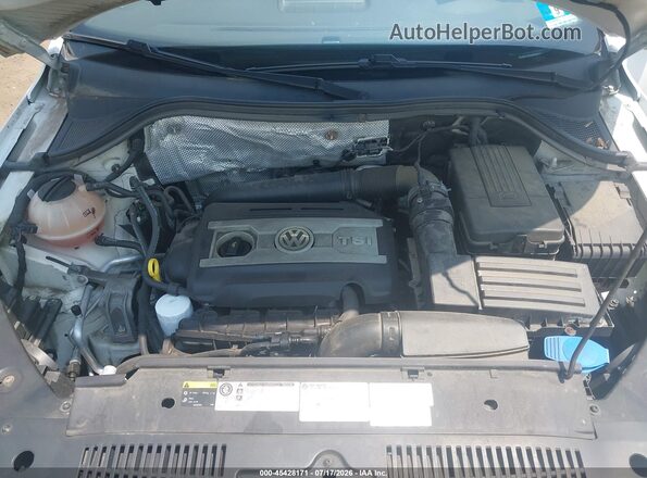 WVGBV7AX0GW094236 2016 VOLKSWAGEN TIGUAN White Вид ззаду