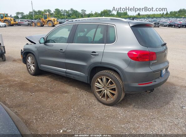 WVGBV7AX1GW531452 2016 VOLKSWAGEN TIGUAN Gray Հետևի ձախ