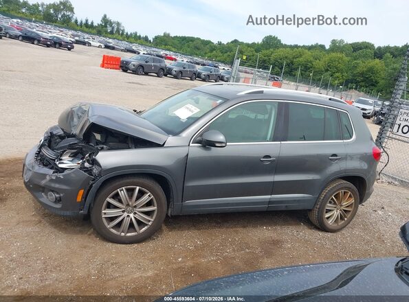 WVGBV7AX1GW531452 2016 VOLKSWAGEN TIGUAN Gray Սալոնի 360 աստիճան տեսք