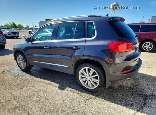 WVGBV7AX2GW531654 2016 VOLKSWAGEN TIGUAN Gray უკანა მარცხენა