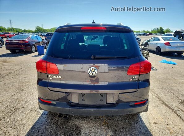 WVGBV7AX2GW531654 2016 VOLKSWAGEN TIGUAN Gray უკანა ხედი