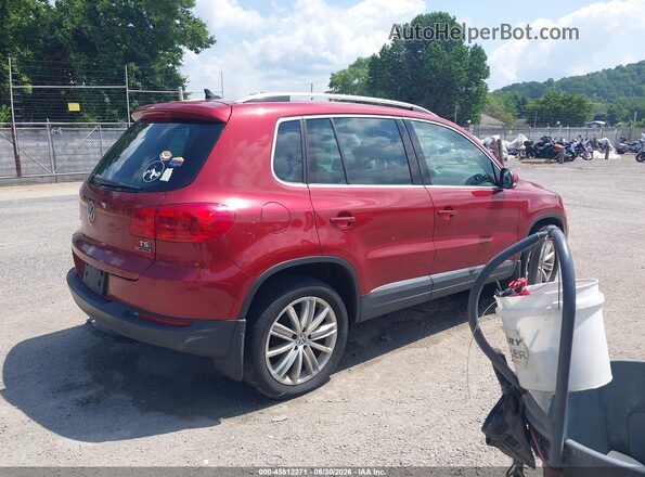 WVGBV7AX4GW047808 2016 VOLKSWAGEN TIGUAN Maroon Հետևի աջ