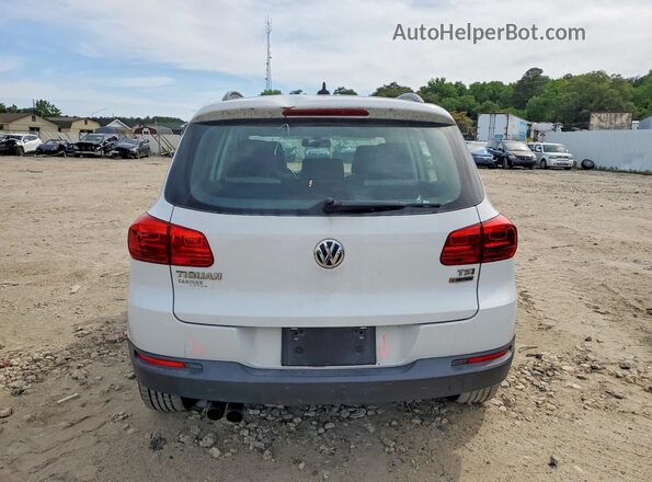 WVGBV7AX4HW511553 2017 VOLKSWAGEN TIGUAN White Widok z tyłu
