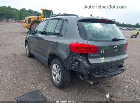 WVGBV7AX8GW597979 2016 VOLKSWAGEN TIGUAN Gray Հետևի ձախ