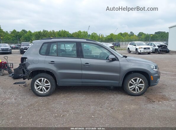 WVGBV7AX8GW597979 2016 VOLKSWAGEN TIGUAN Gray Սալոնի 360 աստիճան տեսք