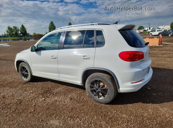 WVGJV7AX1GW500794 2016 VOLKSWAGEN TIGUAN White Задня ліва чверть