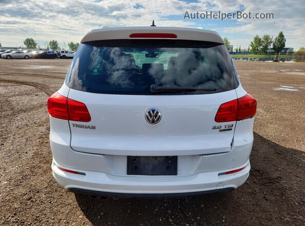 WVGJV7AX1GW500794 2016 VOLKSWAGEN TIGUAN White Вид ззаду