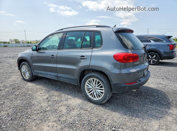 WVGJV7AX3GW586304 2016 VOLKSWAGEN TIGUAN Gray Задня ліва чверть