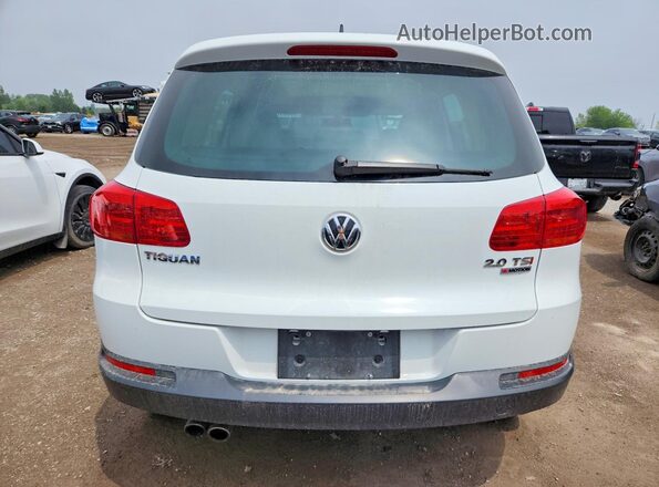 WVGJV7AX7GW504722 2016 VOLKSWAGEN TIGUAN White უკანა ხედი