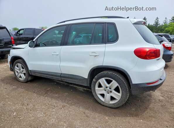 WVGJV7AX7GW504722 2016 VOLKSWAGEN TIGUAN White უკანა მარცხენა