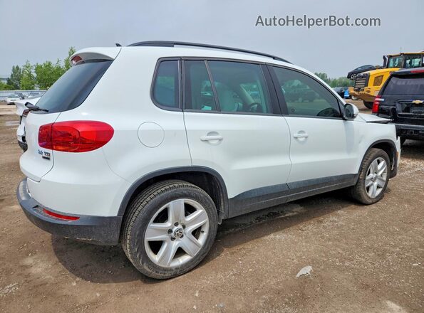 WVGJV7AX7GW504722 2016 VOLKSWAGEN TIGUAN White უკანა მარჯვენა