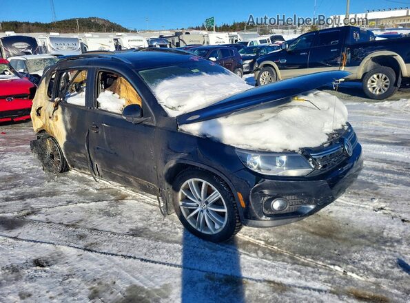 WVGJV7AX8GW500565 2016 VOLKSWAGEN TIGUAN Black Delantero derecho