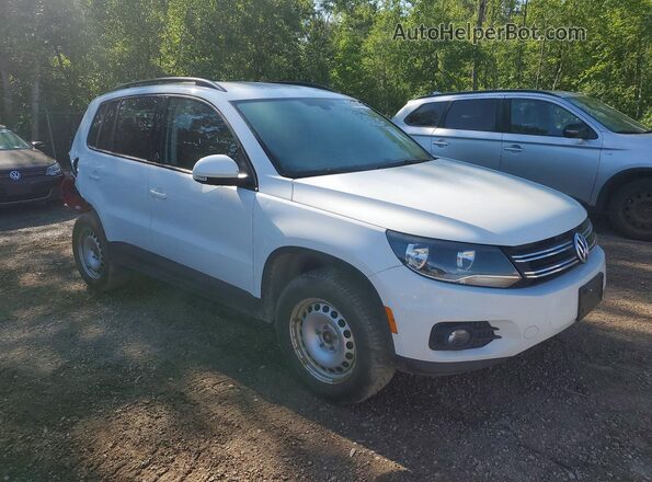 WVGNV7AX7HK033469 2017 VOLKSWAGEN TIGUAN White Delantero derecho