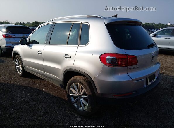 WVGRV7AX5HW506148 2017 VOLKSWAGEN TIGUAN Silver Հետևի ձախ
