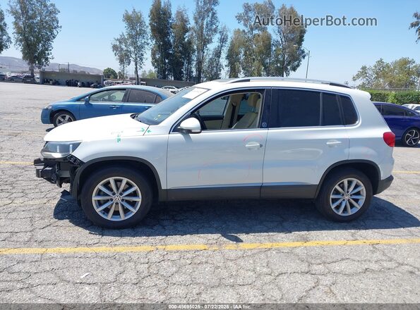 WVGRV7AX9HW503608 2017 VOLKSWAGEN TIGUAN White 