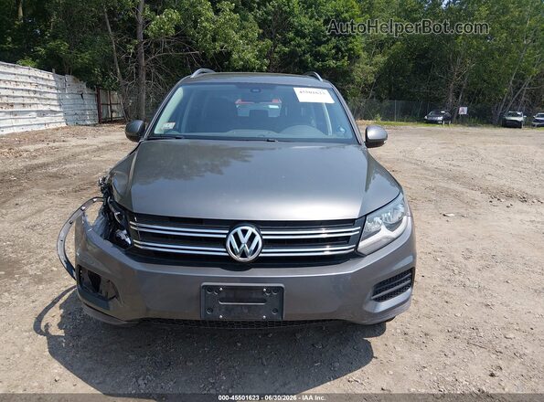 WVGSV7AX1HK030585 2017 VOLKSWAGEN TIGUAN Gray Instrument cluster view