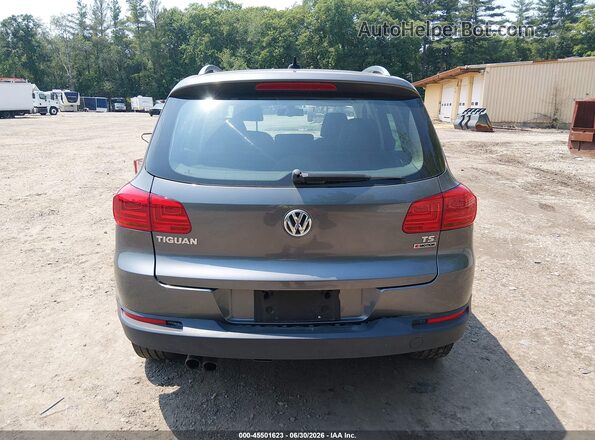 WVGSV7AX1HK030585 2017 VOLKSWAGEN TIGUAN Gray 