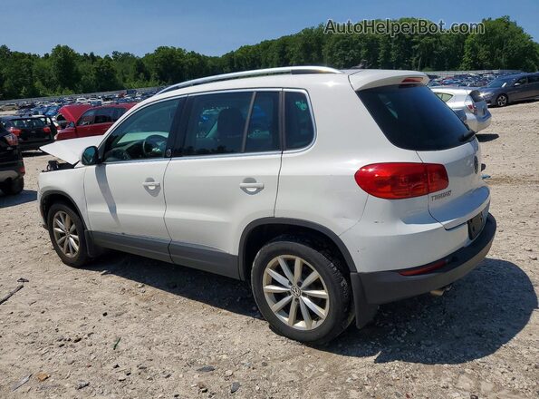WVGSV7AX2HK007381 2017 VOLKSWAGEN TIGUAN White უკანა მარცხენა