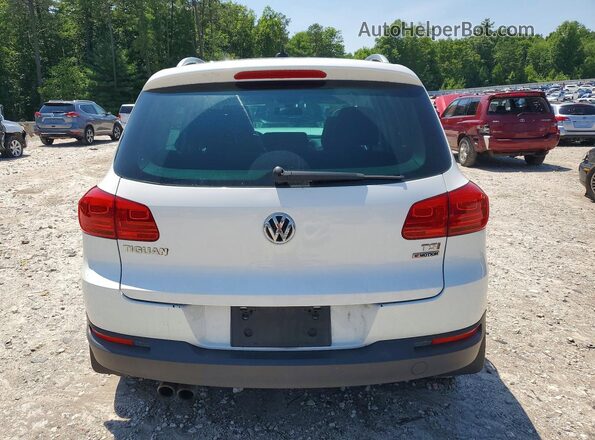 WVGSV7AX2HK007381 2017 VOLKSWAGEN TIGUAN White უკანა ხედი