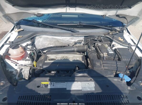 WVGSV7AX3HK004120 2017 VOLKSWAGEN TIGUAN White Вид ззаду